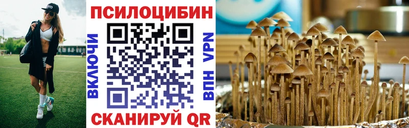 Галлюциногенные грибы Psilocybine cubensis  Уяр 